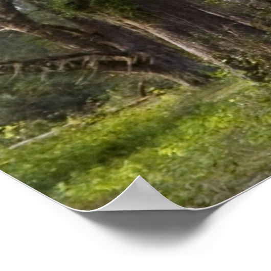 Twisted Live Oaks Print (Hoek)