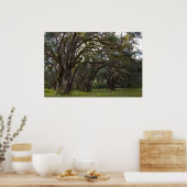 Twisted Live Oaks Print (Keuken)