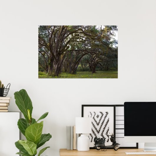 Twisted Live Oaks Print (Thuiskantoor)