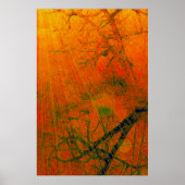 Twisted Oak - Poster (Voorkant)