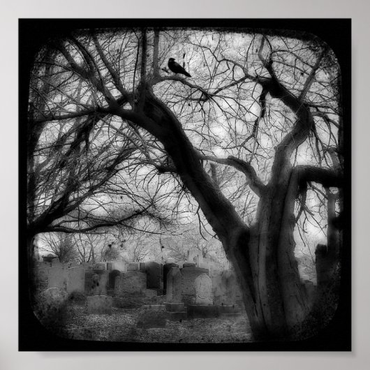 Twisted Poster (Voorkant)