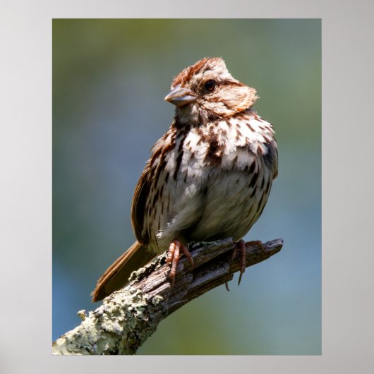 Twisted Poster (Voorkant)