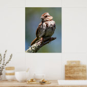 Twisted Poster (Keuken)