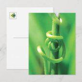 Twisted Tendril Vine Lovers in Nature  Briefkaart (Voorkant / Achterkant)