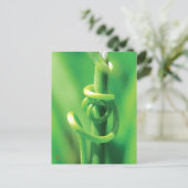 Twisted Tendril Vine Lovers in Nature  Briefkaart (Staand voorkant)