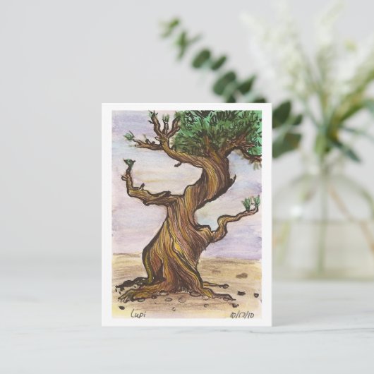 Twisted Tree-Briefkaart Briefkaart (Staand voorkant)