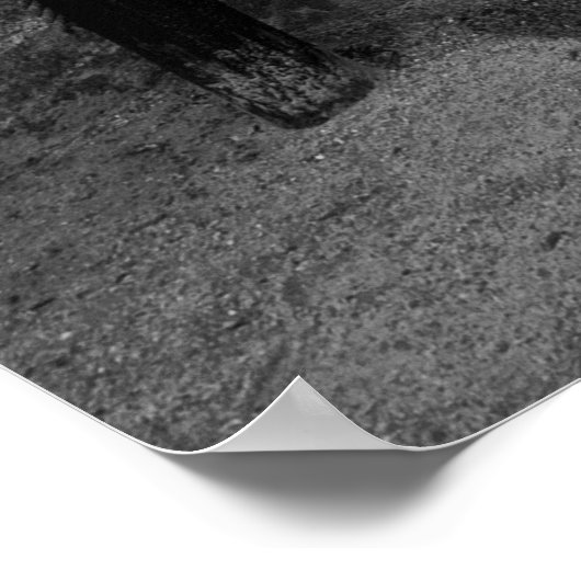 TWISTED TREE OF HORYUJI TEMPLE - NARA JAPAN POSTER (Hoek)