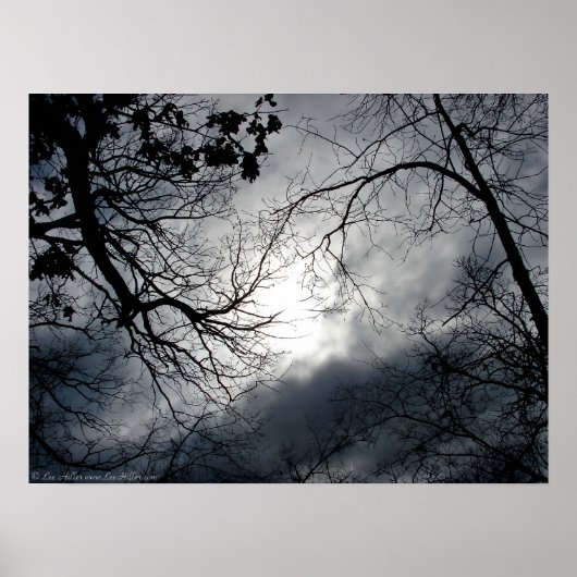 Twisted Trees Winter Storm Cloud Sky Poster (Voorkant)