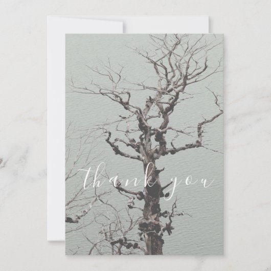 Twisted Verweerde Boom Blue Lake Flat Dank u Bedankkaart (Voorkant)