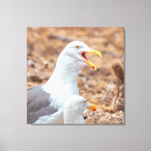 twisten canvas afdruk (Voorkant)
