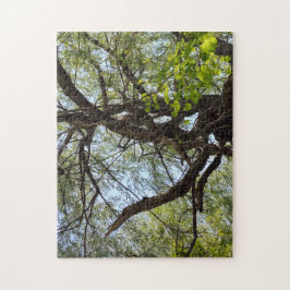 Twists en gebogen wilg boom legpuzzel