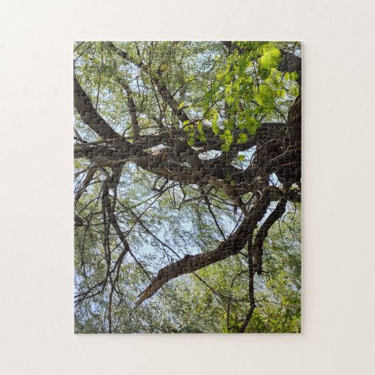 Twists en gebogen wilg boom legpuzzel (Verticaal)