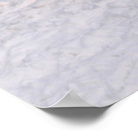 Twitter Ski Grab Poster (Hoek)