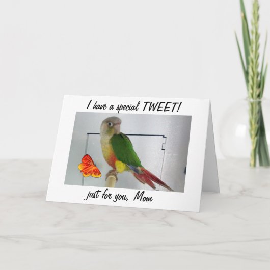 TWITTER? TWEET JE MOEDER VOOR MOEDERDAG KAART (Voorkant)