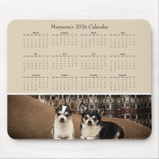 Two Adorable Chihuahuas on a Sofa – 2026 Calendar Muismat