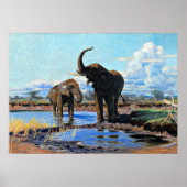Two African Elephants at Watering Hole Poster (Voorkant)