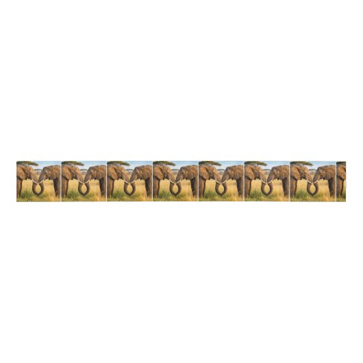 Two African Elephants In Savannah Grass Grosgrain Lint (Voorkant)