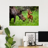 Two Alert Moose Mother And Baby Poster (Thuiskantoor)