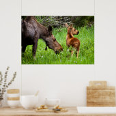 Two Alert Moose Mother And Baby Poster (Keuken)
