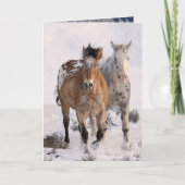 Two Appaloosas Greeting Card (Voorkant)