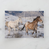 Two Appaloosas Greeting Card (Binnen)