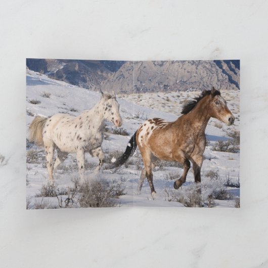 Two Appaloosas Greeting Card (Binnen)