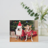 Two boston Earth in Christmas Costumes Feestdagenkaart (Staand voorkant)