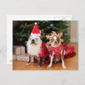 Two boston Earth in Christmas Costumes Feestdagenkaart (Voorkant / Achterkant)