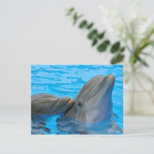 Two bottlenose dolphins briefkaart (Staand voorkant)