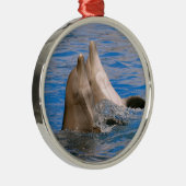 Two bottlenose dolphins metalen ornament (Rechts)
