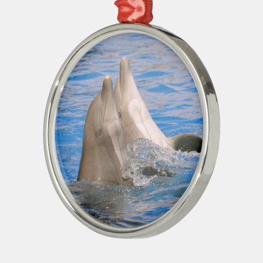Two bottlenose dolphins metalen ornament (Links)