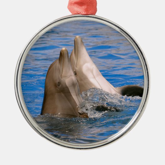 Two bottlenose dolphins metalen ornament (Voorkant)