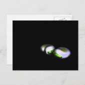 Two Broad Beans PCA Briefkaart (Voorkant / Achterkant)