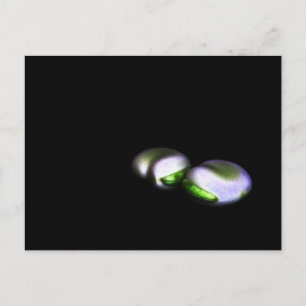 Two Broad Beans PCA Briefkaart