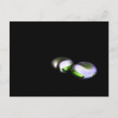 Two Broad Beans PCA Briefkaart (Voorkant)