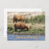 Two Brown Cows Cust. Have a Nice Day Postcard Feestdagenkaart (Voorkant / Achterkant)