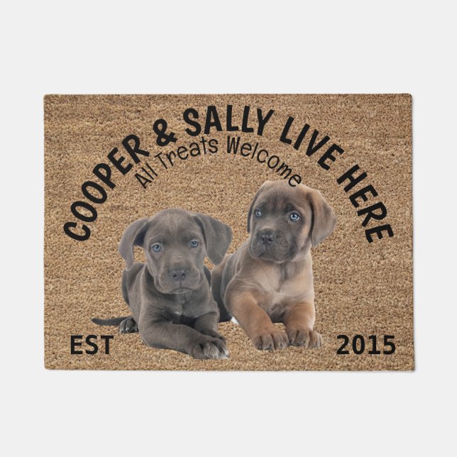 Two Cane Corso gepersonaliseerd Hondenliefhebber Deurmat (Voorkant)