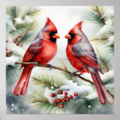 Two Cardinals Poster (Voorkant)