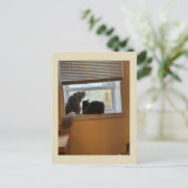 Two Cats on Window Briefkaart (Staand voorkant)