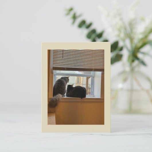 Two Cats on Window Briefkaart (Staand voorkant)