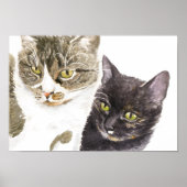 Two cats - tabby and tortie poster (Voorkant)