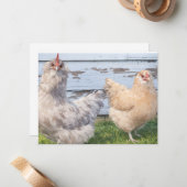 Two Chickens Cute Farm Note Cards Notitiekaartje (Voorkant / Achterkant in situ)