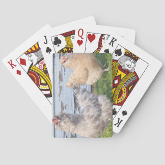 Two Chickens Poker Cards – Cute Farm Animal Play Pokerkaarten