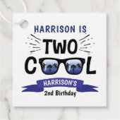 Two Cool Boys 2e Verjaardag Bedankjes Labels (Voorkant)
