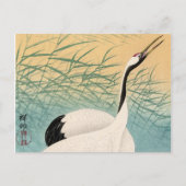 Two Cranes, 1936 by Ohara Koson Briefkaart (Voorkant)