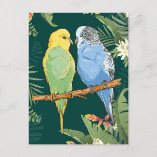Two cute blue and green Budgie Briefkaart