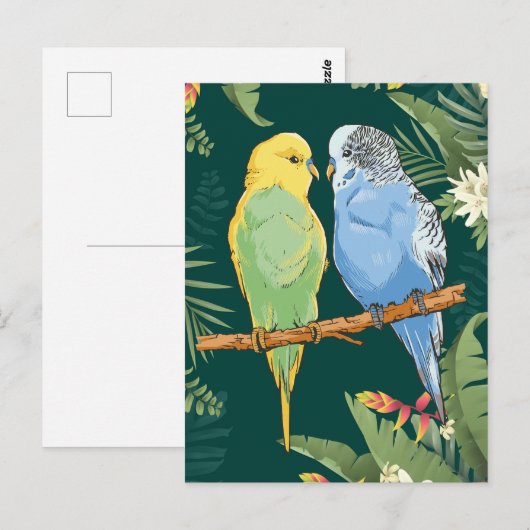 Two cute blue and green Budgie Briefkaart (Voorkant / Achterkant)