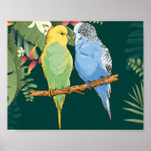 Two cute blue and green Budgies Poster (Voorkant)