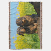 Two Cute Dachshund Dogs Dackel Portrait Foto - Deken (Voorkant Verticaal)