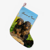 Two Cute Dachshunds Dogs Dackel Friends Pet - Name Kleine Kerstsok (Voorkant (Hangend))